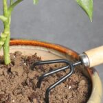 3 Piece Mini Gardening Tools Set - Image 4